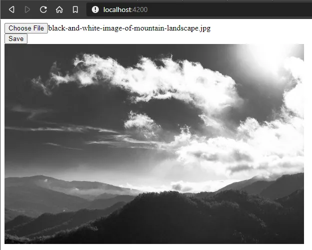 Angular App showing the uploaded picture
