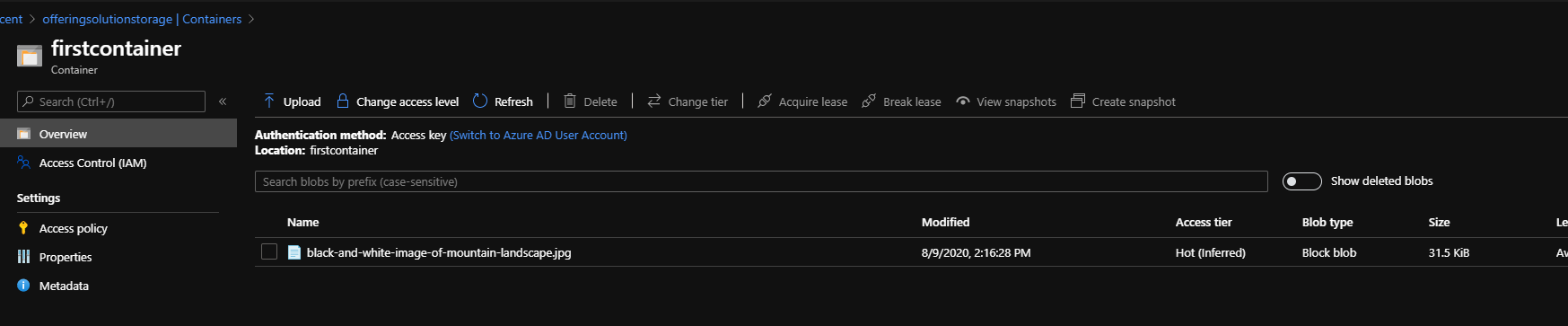 Azure Container showing the uploaded picture